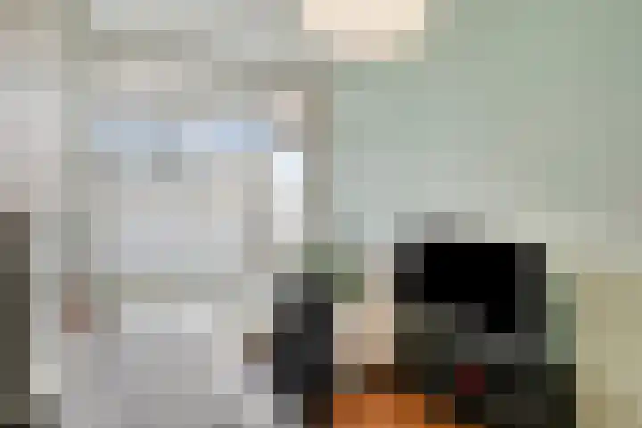 Pollux 161 Veenendaal thumbnail 20