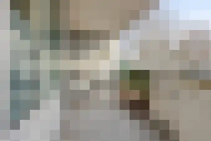 Pollux 161 Veenendaal thumbnail 23
