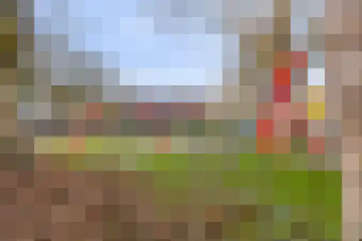 Pollux 161 Veenendaal thumbnail 25