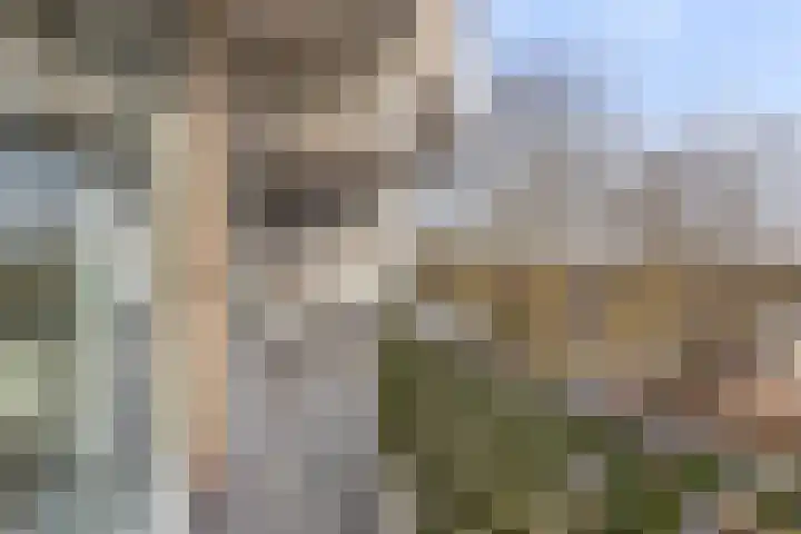 Pollux 161 Veenendaal thumbnail 4