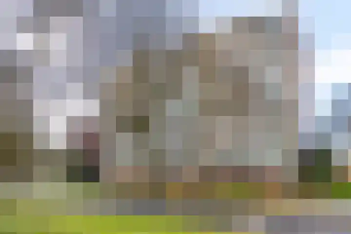 Pollux 161 Veenendaal thumbnail 5