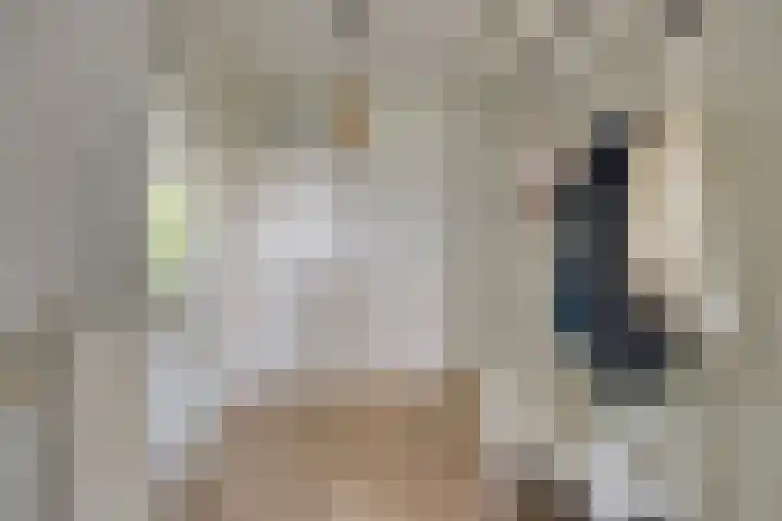 Pollux 195 Veenendaal thumbnail 11