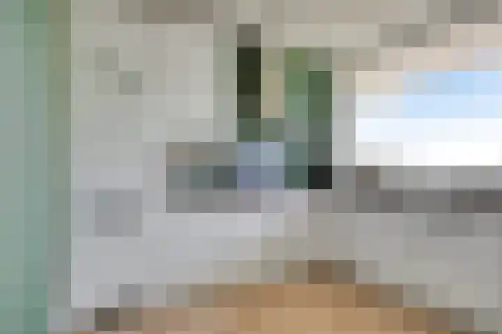 Pollux 195 Veenendaal thumbnail 12