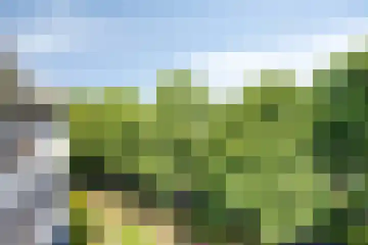 Pollux 195 Veenendaal thumbnail 26
