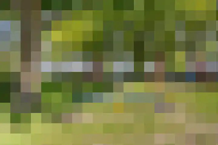Pollux 195 Veenendaal thumbnail 28