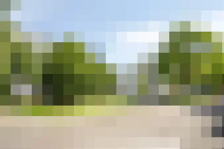 Pollux 195 Veenendaal thumbnail 6
