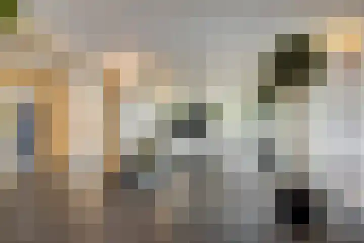 Pollux 195 Veenendaal thumbnail 8