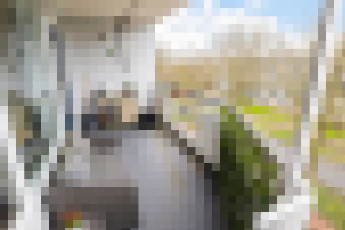 Pollux 201 Veenendaal thumbnail 31
