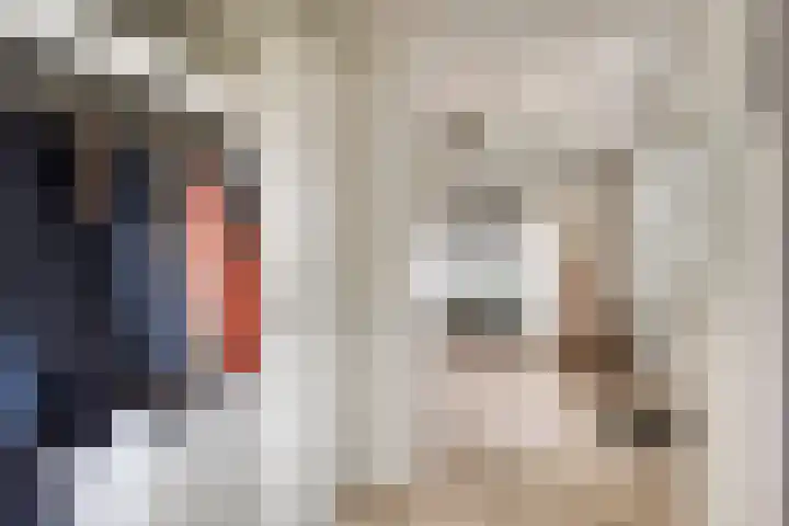 Pollux 22 Katwijk thumbnail 18