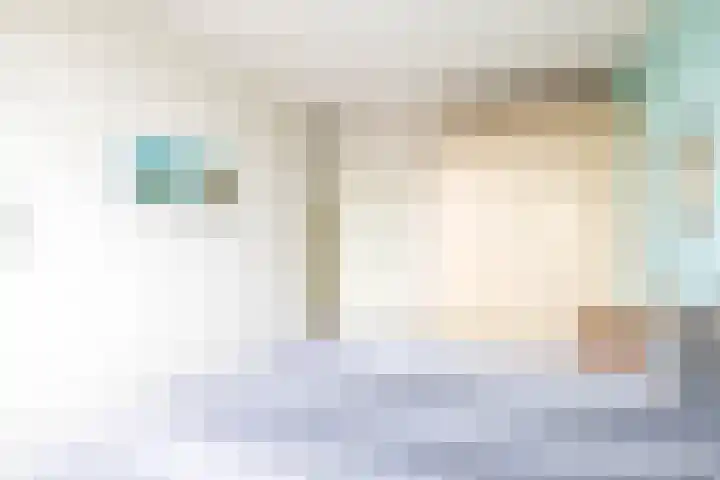 Pollux 22 Lemmer thumbnail 27