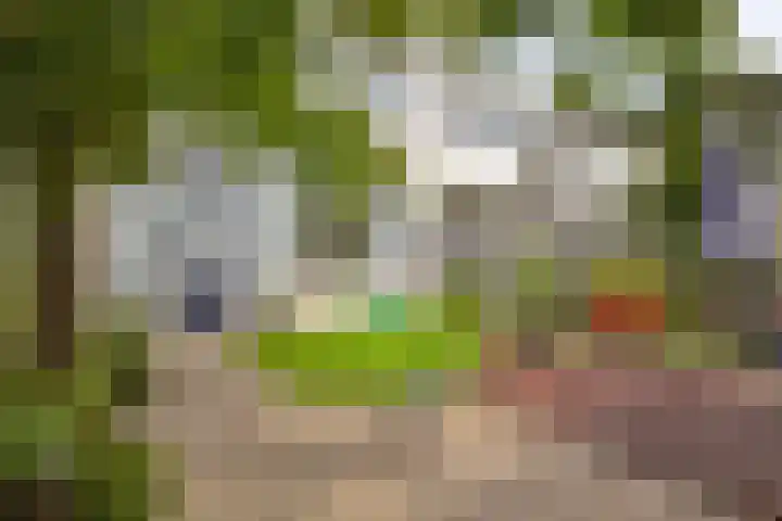 Pollux 22 Veenendaal thumbnail 22