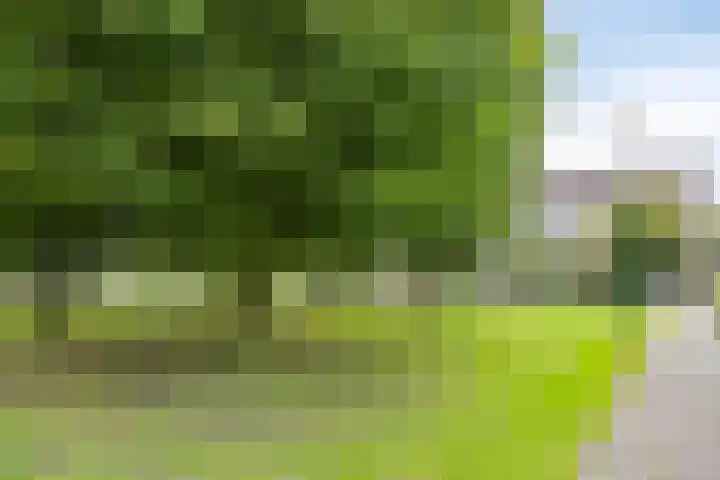 Pollux 22 Veenendaal thumbnail 23