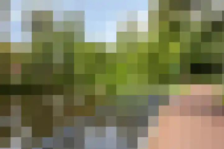 Pollux 22 Veenendaal thumbnail 24