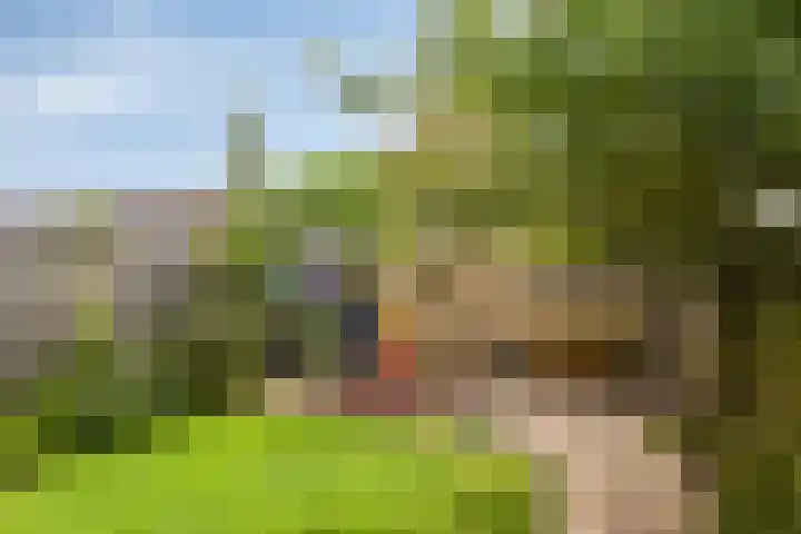 Pollux 22 Veenendaal thumbnail 4