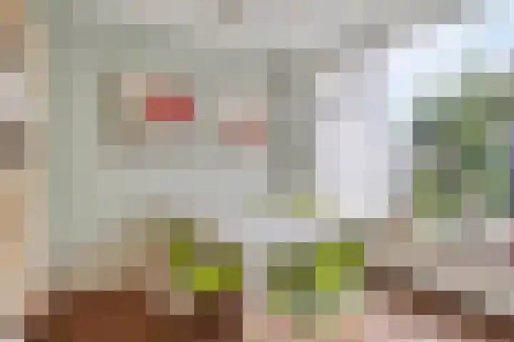 Pollux 22 Veenendaal thumbnail 9