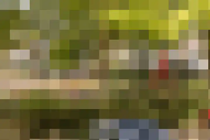 Pollux 225 Veenendaal thumbnail 30