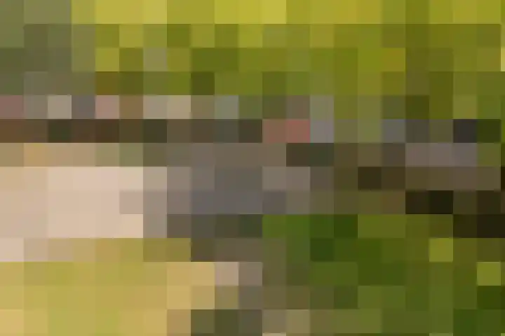 Pollux 225 Veenendaal thumbnail 31