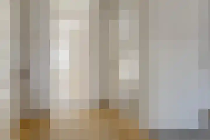 Pollux 23 Waddinxveen thumbnail 17