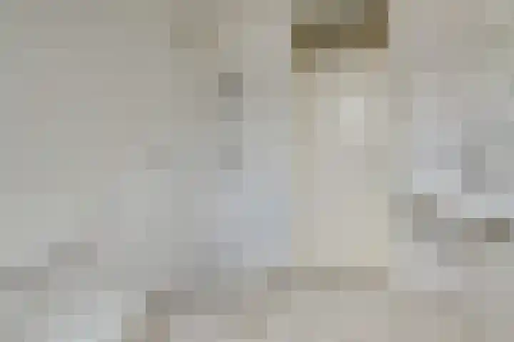 Pollux 23 Waddinxveen thumbnail 23