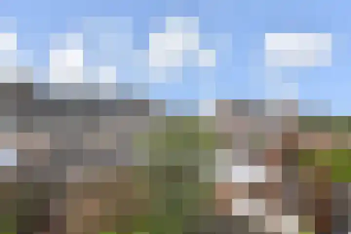 Pollux 23 Waddinxveen thumbnail 25