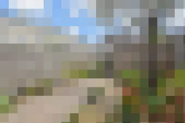 Pollux 23 Waddinxveen thumbnail 26