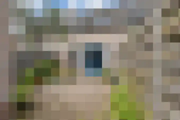 Pollux 23 Waddinxveen thumbnail 28