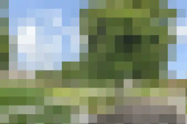 Pollux 23 Waddinxveen thumbnail 29