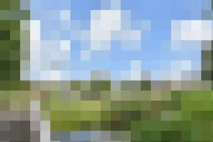 Pollux 23 Waddinxveen thumbnail 30