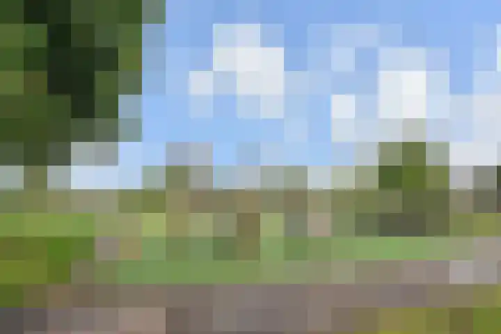 Pollux 23 Waddinxveen thumbnail 31