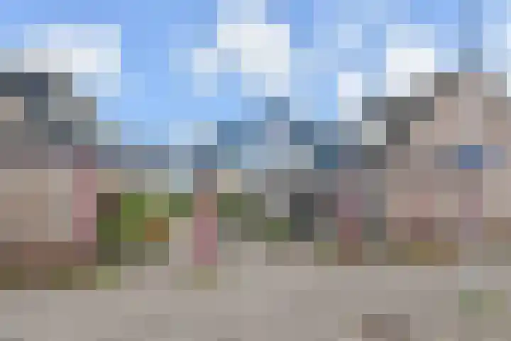 Pollux 23 Waddinxveen thumbnail 5
