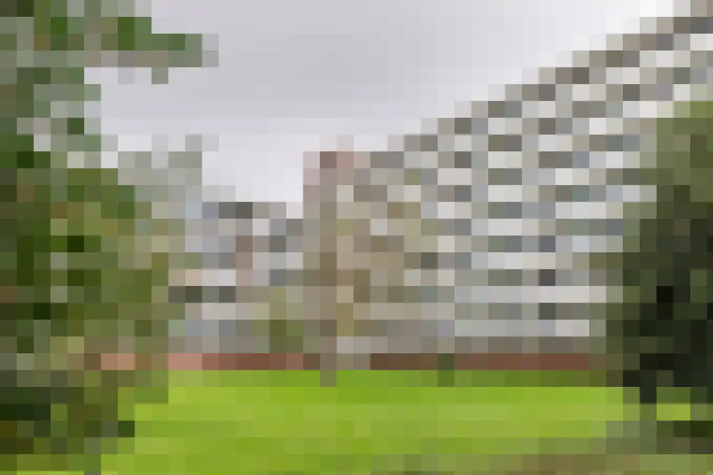Pollux 257 Veenendaal thumbnail 27