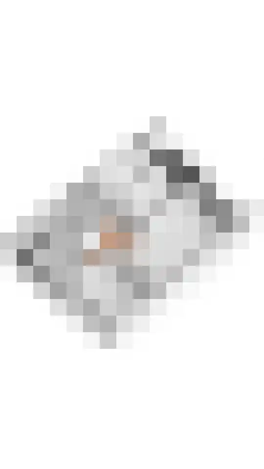 Pollux 257 Veenendaal thumbnail 29
