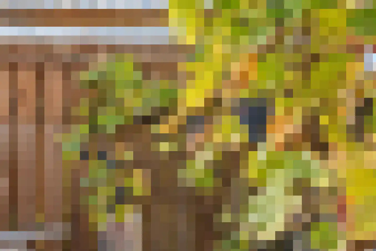Pollux 28 Veenendaal thumbnail 34