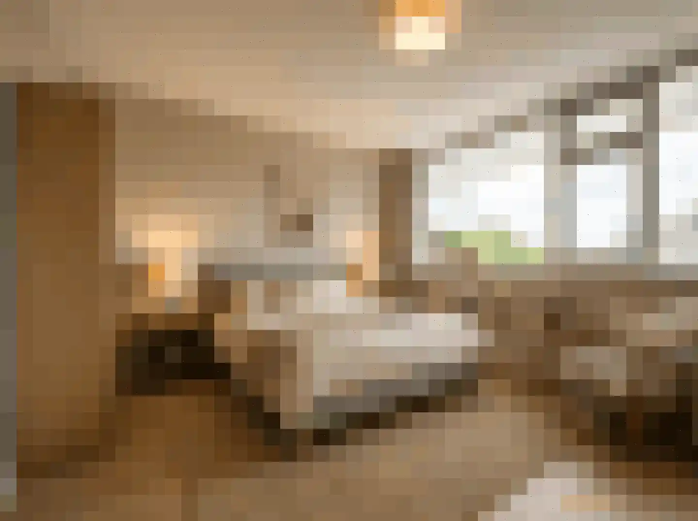 Pollux 289 Veenendaal thumbnail 14