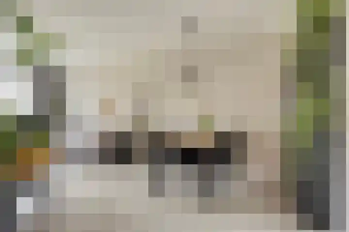 Pollux 335 Veenendaal thumbnail 10