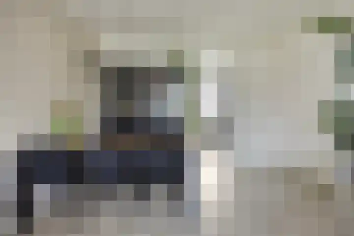Pollux 335 Veenendaal thumbnail 14