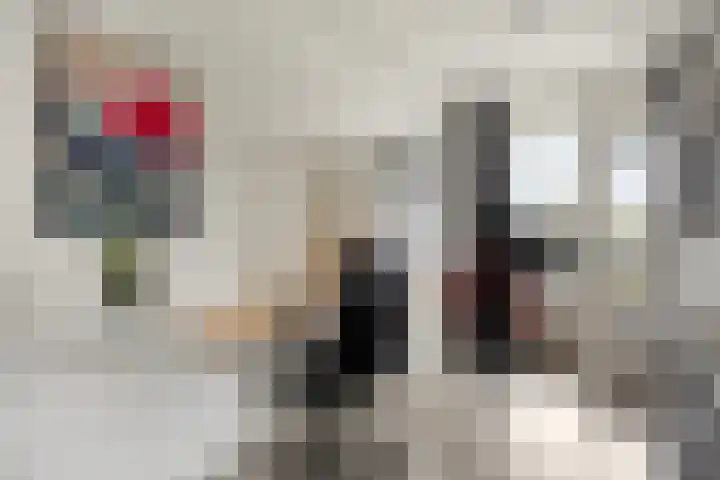 Pollux 335 Veenendaal thumbnail 20