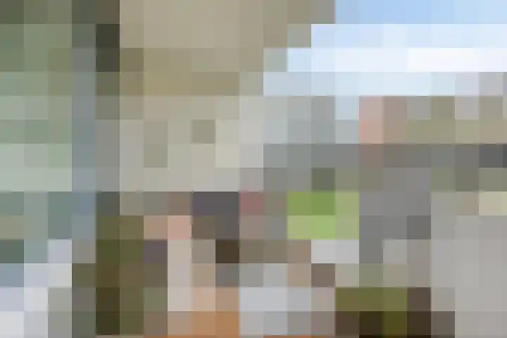 Pollux 335 Veenendaal thumbnail 23