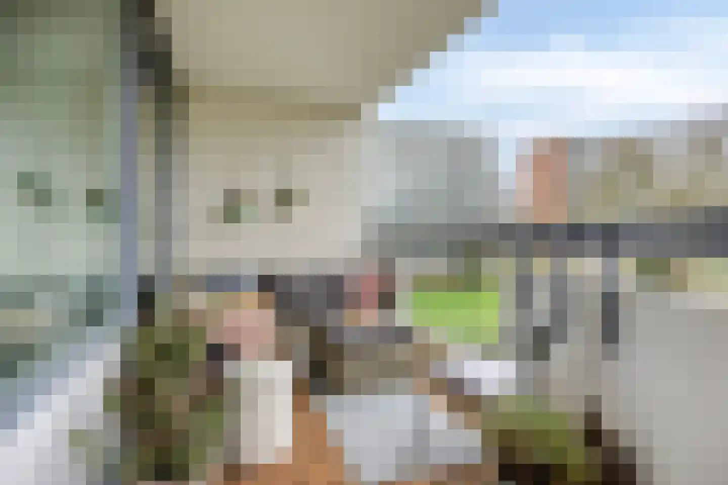 Pollux 335 Veenendaal thumbnail 23