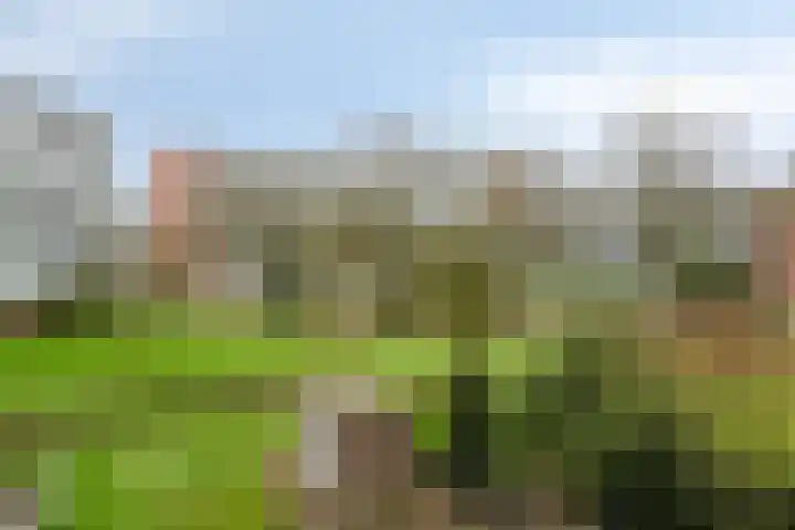 Pollux 335 Veenendaal thumbnail 24