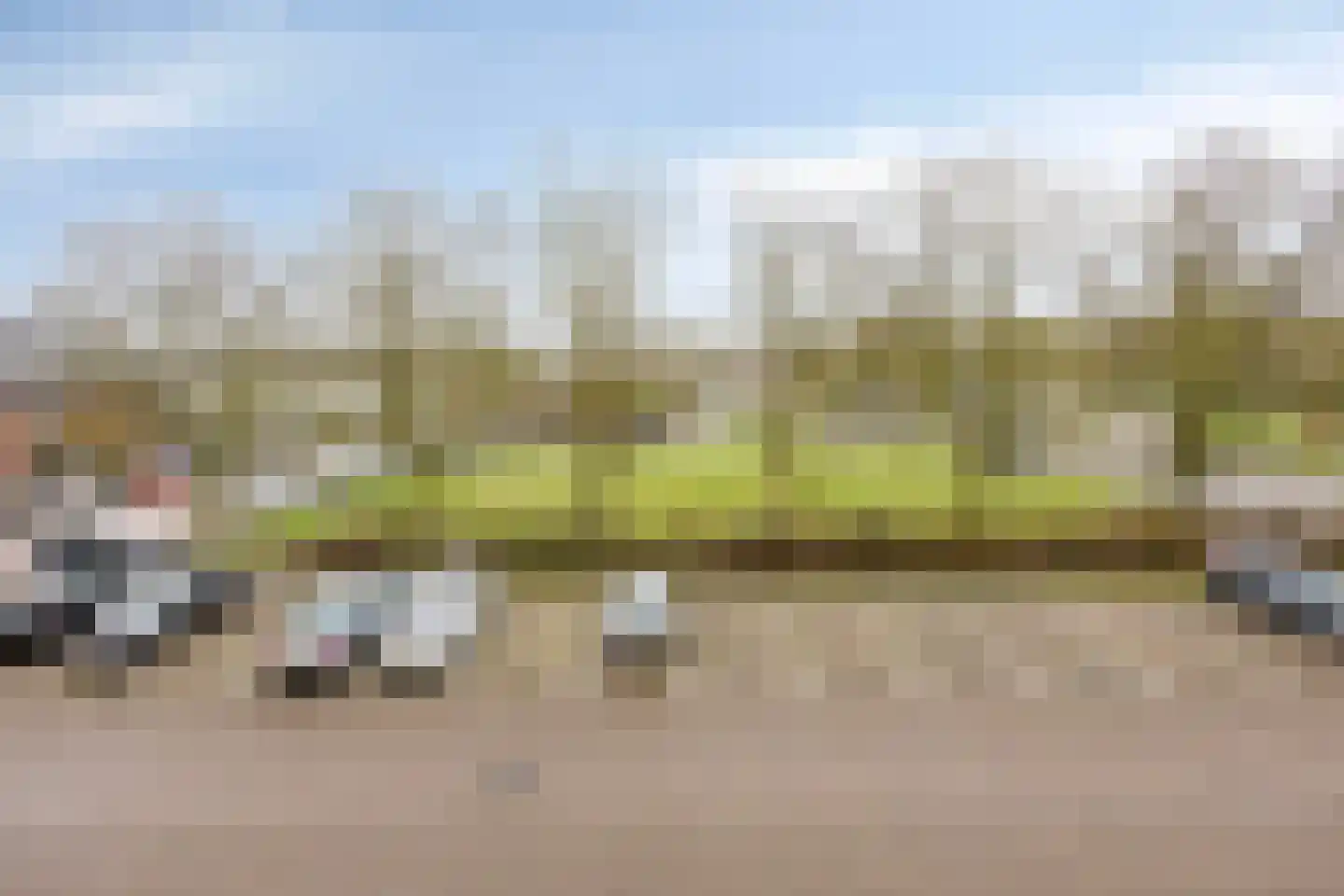 Pollux 335 Veenendaal thumbnail 27