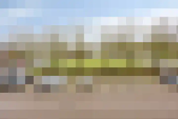 Pollux 335 Veenendaal thumbnail 27