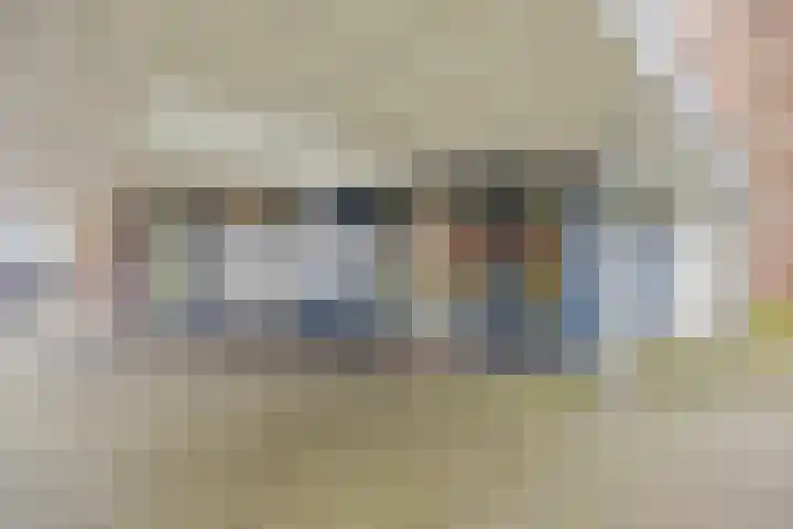 Pollux 335 Veenendaal thumbnail 4