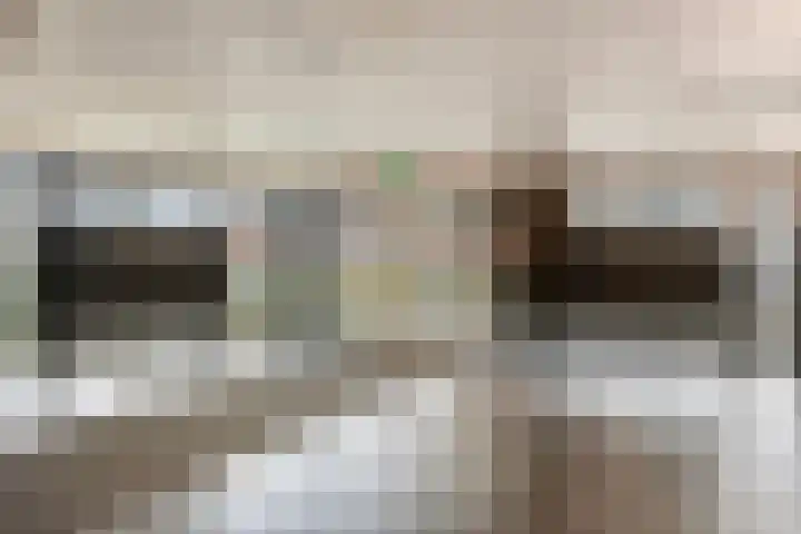 Pollux 335 Veenendaal thumbnail 5