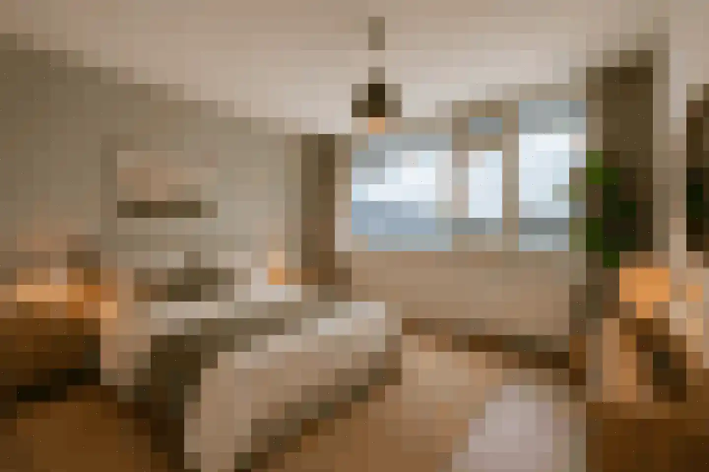 Pollux 339 Veenendaal thumbnail 11