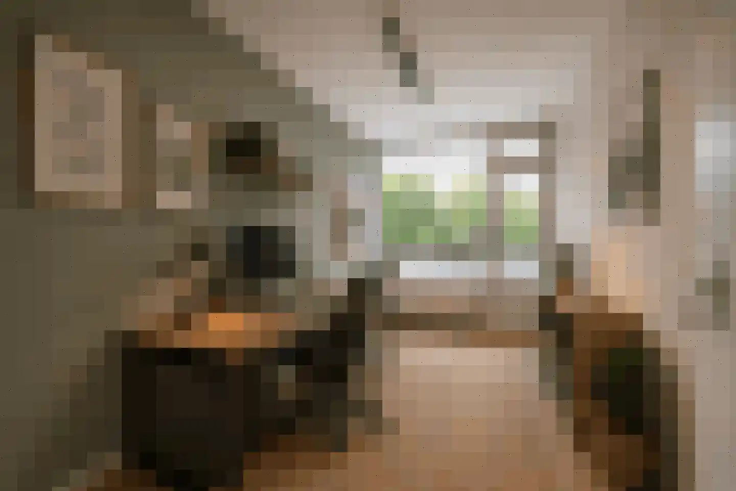 Pollux 339 Veenendaal thumbnail 13