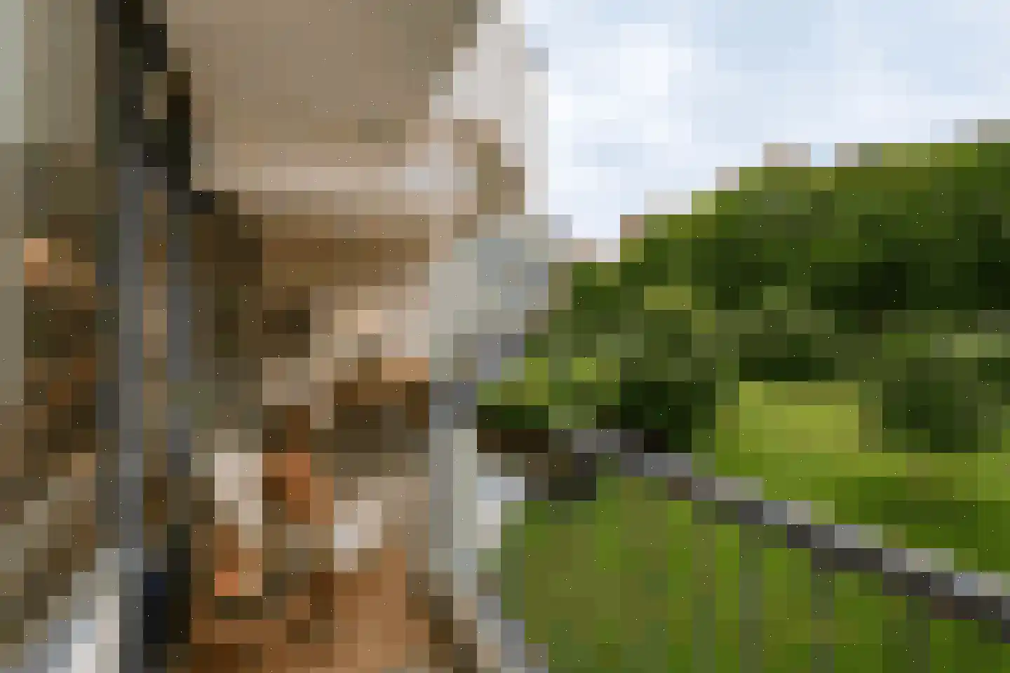 Pollux 339 Veenendaal thumbnail 20