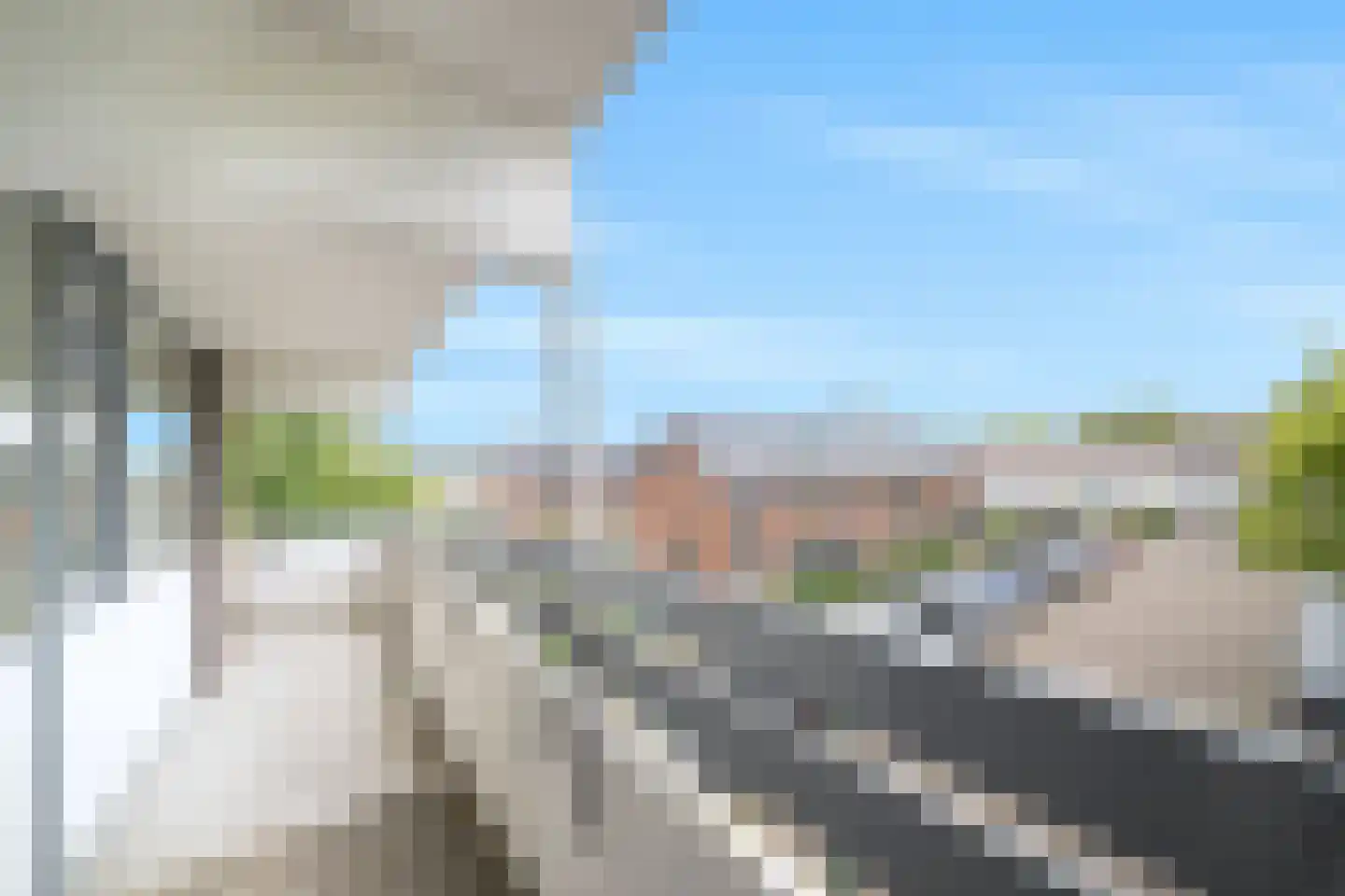 Pollux 339 Veenendaal thumbnail 7