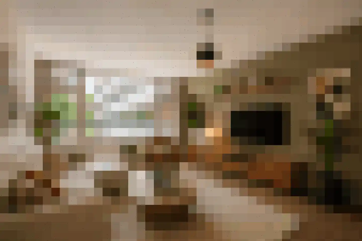 Pollux 339 Veenendaal thumbnail 8