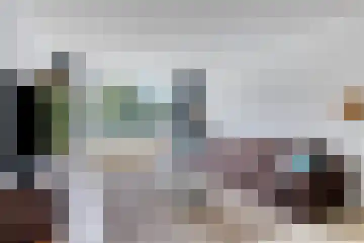 Pollux 351 Veenendaal thumbnail 10